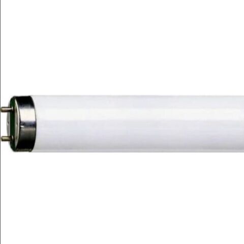 PHILIPS 36W-865 FLORESAN AMPUL