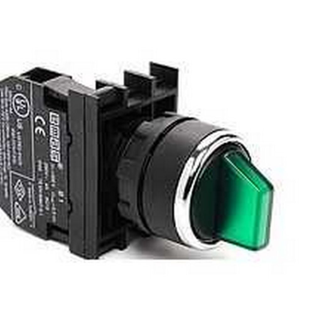 EMAS B100SL21Y IŞIKLI MANDAL BUTON YAYLI YEŞİL LED 0-1 1 NA