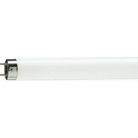 PHILIPS 18W/965 1SL-10 MASTER TL-D 90 DELUXE SOĞUK GÜNIŞIĞ