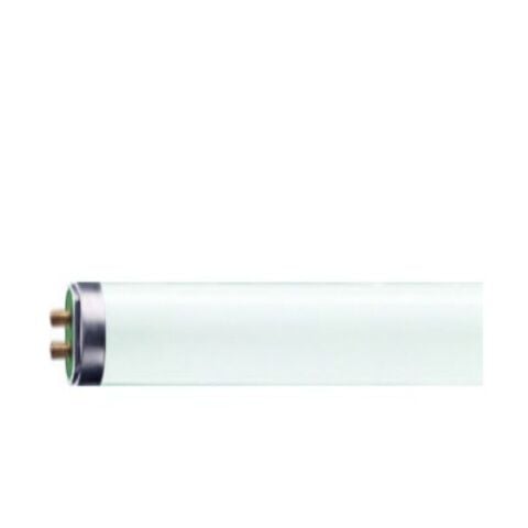 PHILIPS 35W-865 T5 FLORESAN AMPUL