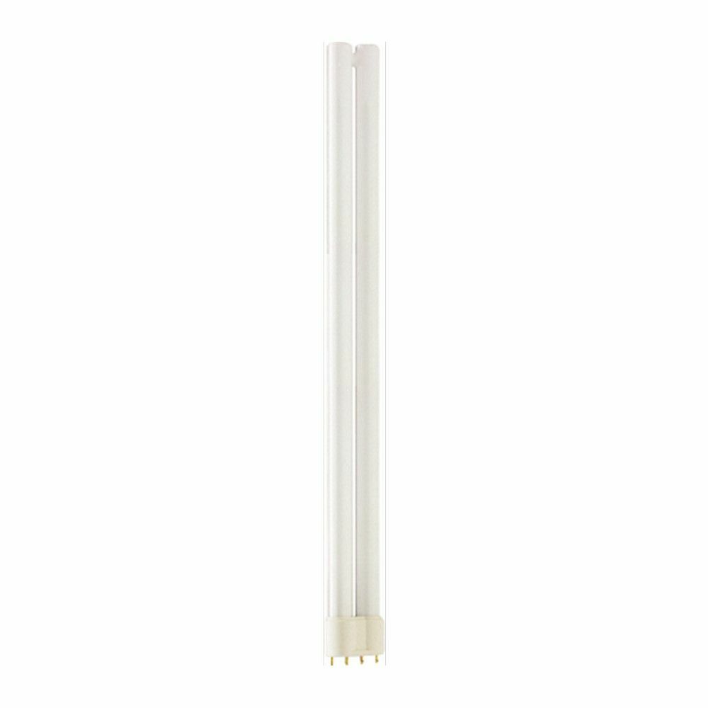 PHILIPS 36W-865-4P MASTER AMPUL