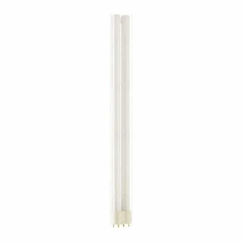 PHILIPS 36W-865-4P MASTER AMPUL